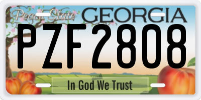GA license plate PZF2808