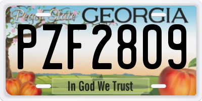 GA license plate PZF2809