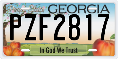 GA license plate PZF2817