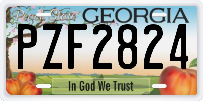 GA license plate PZF2824