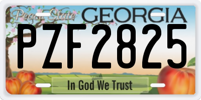 GA license plate PZF2825