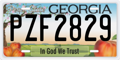 GA license plate PZF2829