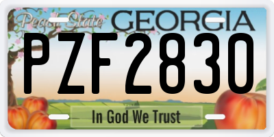 GA license plate PZF2830
