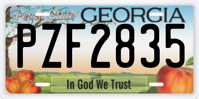 GA license plate PZF2835