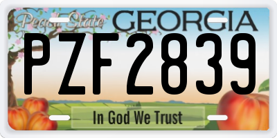 GA license plate PZF2839