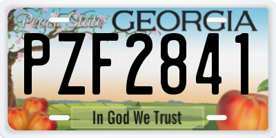 GA license plate PZF2841