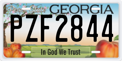 GA license plate PZF2844