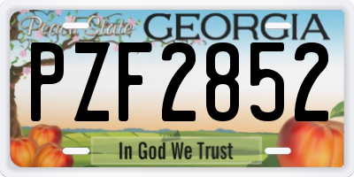 GA license plate PZF2852