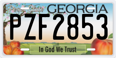 GA license plate PZF2853