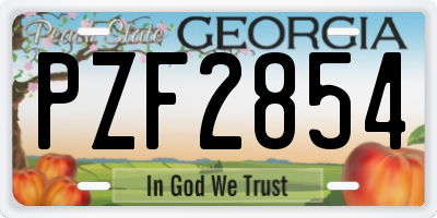 GA license plate PZF2854