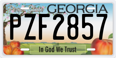 GA license plate PZF2857