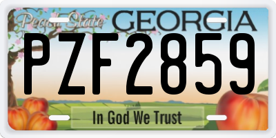 GA license plate PZF2859