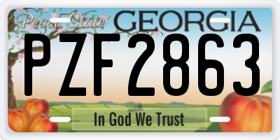 GA license plate PZF2863