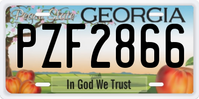 GA license plate PZF2866