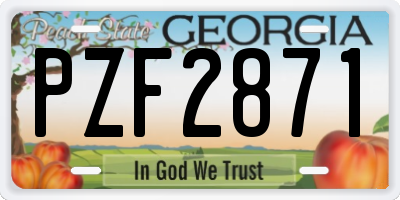 GA license plate PZF2871