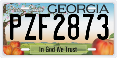 GA license plate PZF2873