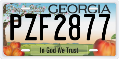 GA license plate PZF2877