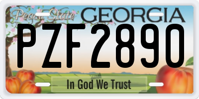 GA license plate PZF2890