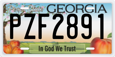 GA license plate PZF2891