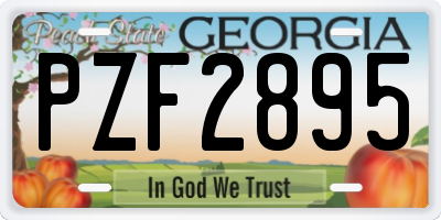 GA license plate PZF2895