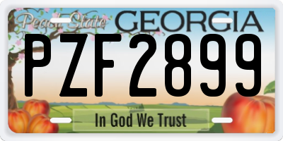 GA license plate PZF2899