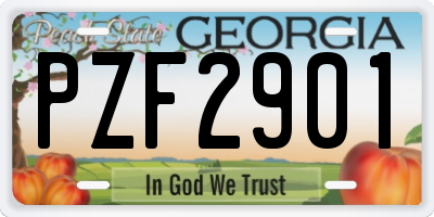 GA license plate PZF2901