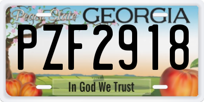 GA license plate PZF2918