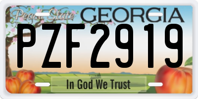 GA license plate PZF2919