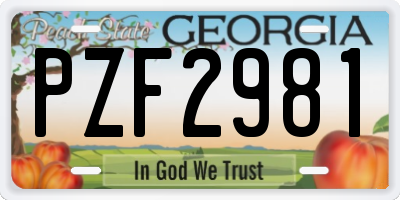 GA license plate PZF2981