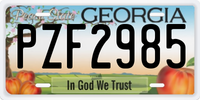 GA license plate PZF2985