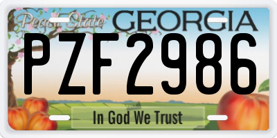 GA license plate PZF2986