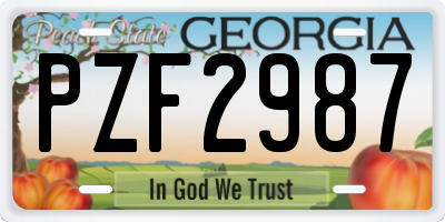 GA license plate PZF2987