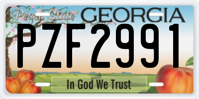 GA license plate PZF2991