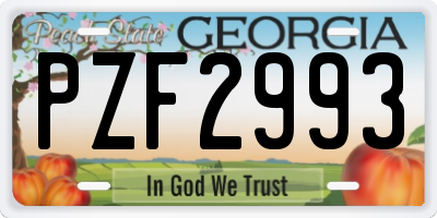 GA license plate PZF2993