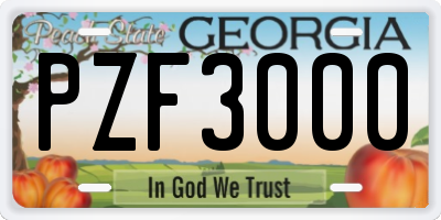 GA license plate PZF3000