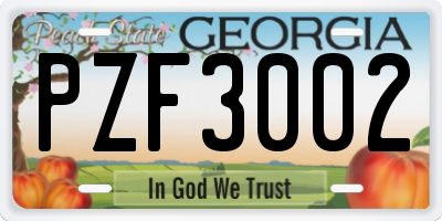 GA license plate PZF3002