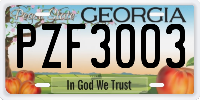 GA license plate PZF3003
