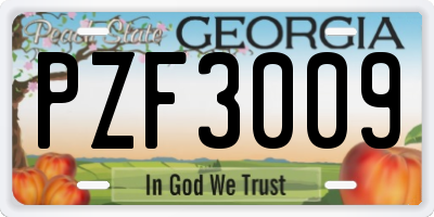 GA license plate PZF3009