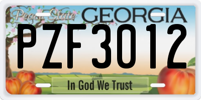GA license plate PZF3012