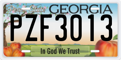 GA license plate PZF3013