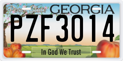 GA license plate PZF3014