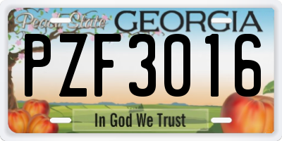 GA license plate PZF3016