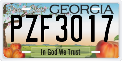 GA license plate PZF3017