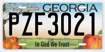 GA license plate PZF3021