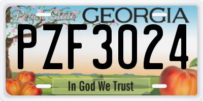 GA license plate PZF3024
