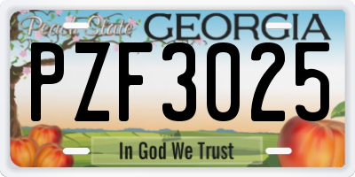 GA license plate PZF3025