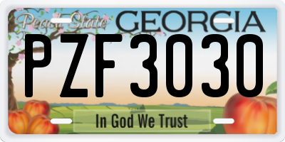 GA license plate PZF3030