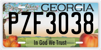 GA license plate PZF3038