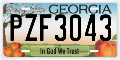 GA license plate PZF3043