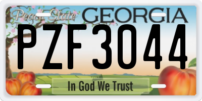GA license plate PZF3044